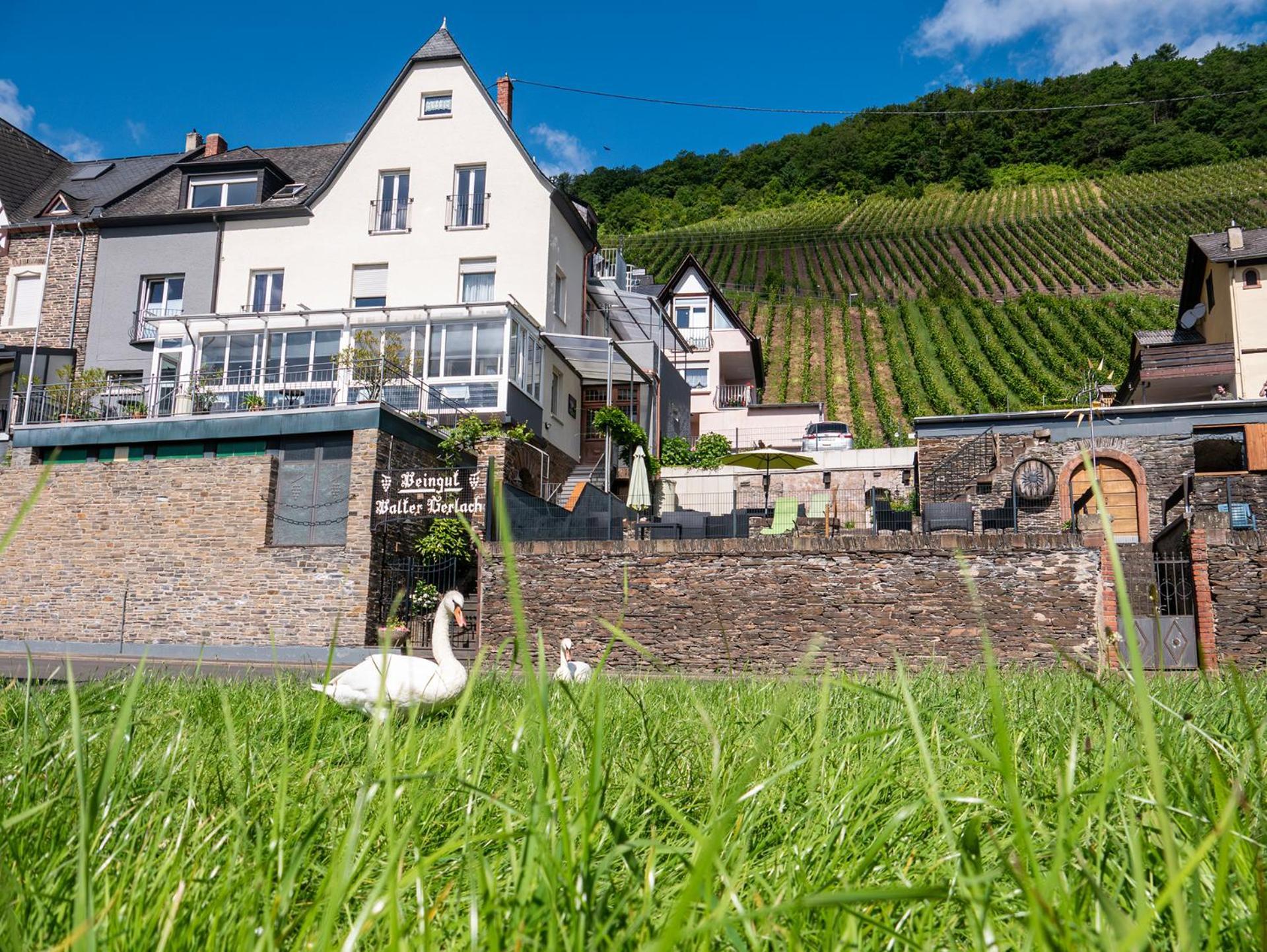 Weingut / Gaestehaus Gerlach Uerzig Exterior photo