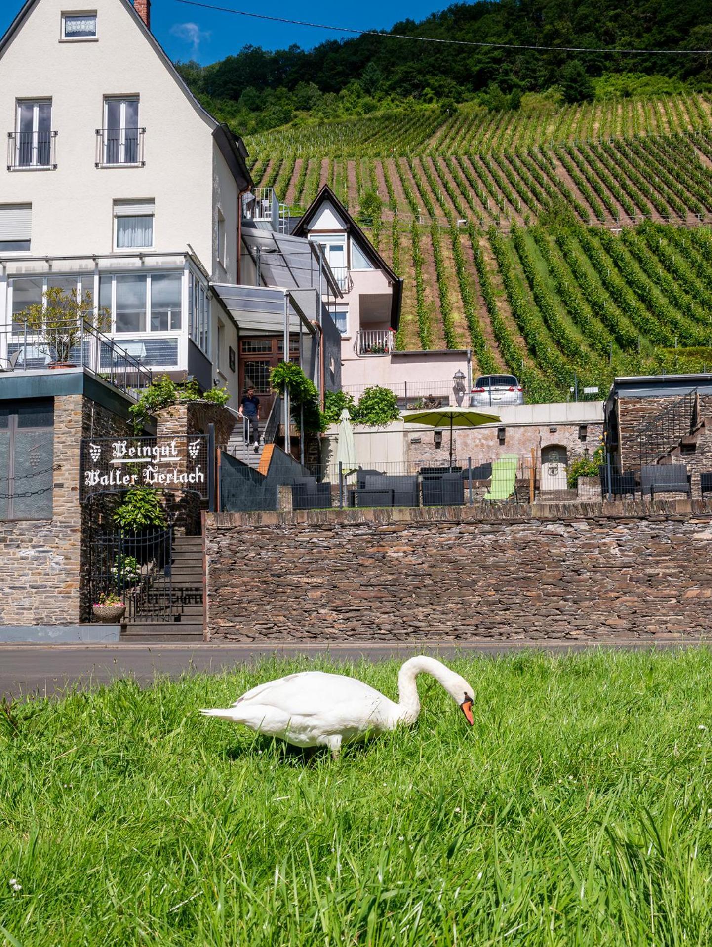 Weingut / Gaestehaus Gerlach Uerzig Exterior photo