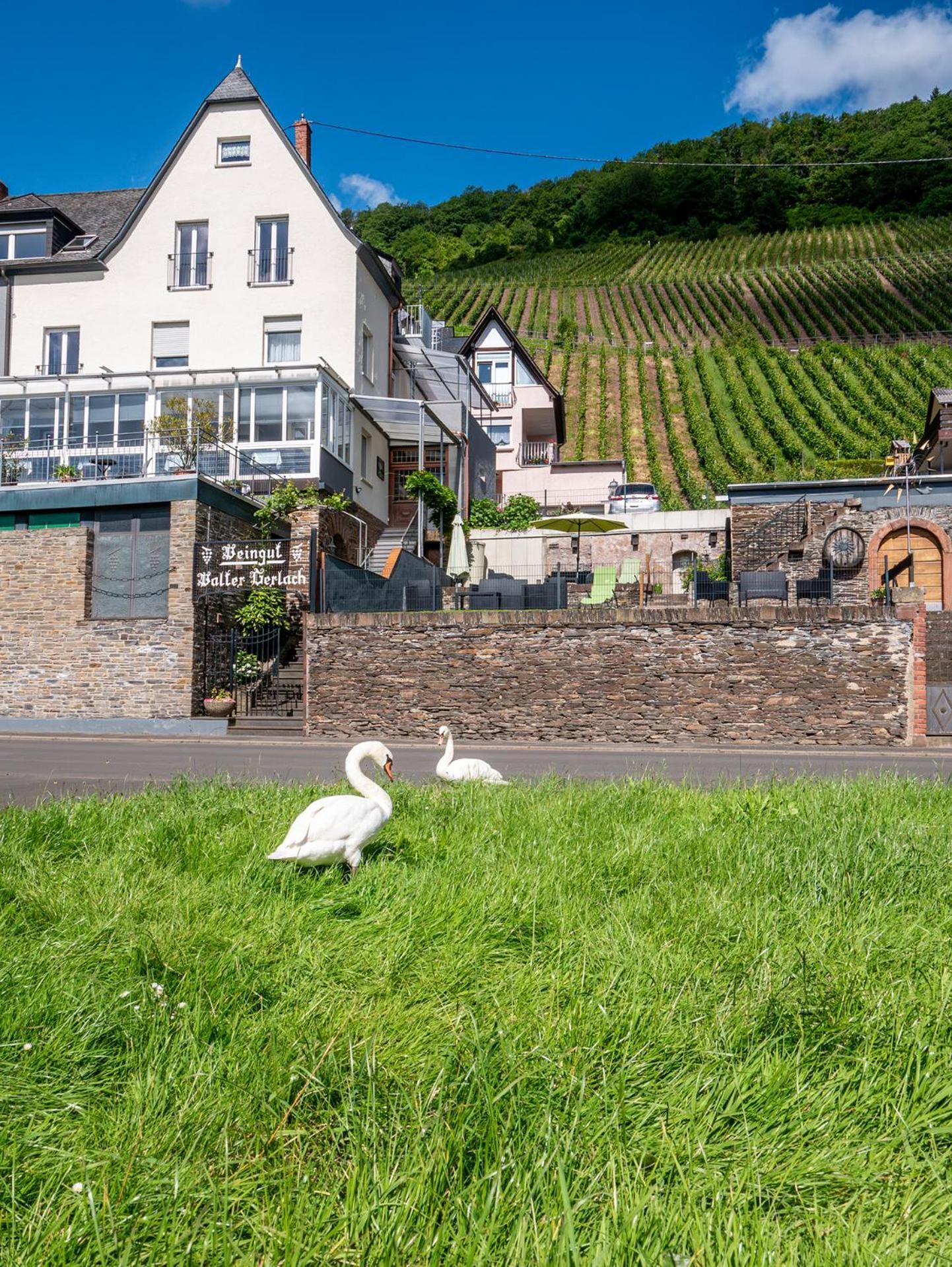 Weingut / Gaestehaus Gerlach Uerzig Exterior photo